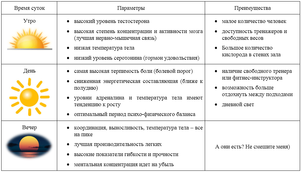 Когда лучше заниматься спортом для похудения, в какое время суток: утром или вечером