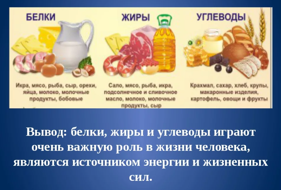 Белки, жиры, углеводы: что это такое, в каких продуктах содержатся, таблица
