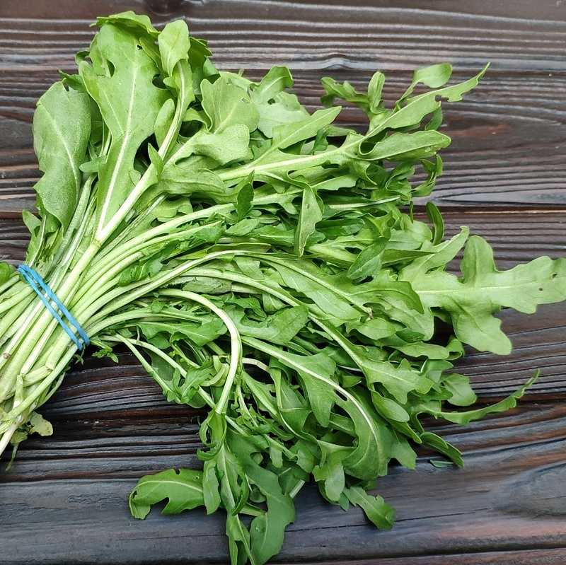 Руккола, сырая: калорийность на 100 г, белки, жиры, углеводы