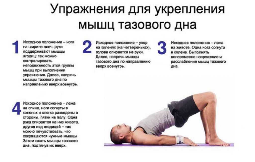 Вумбилдинг: упражнения для начинающих, польза тренировок интимных мышц, преимущества