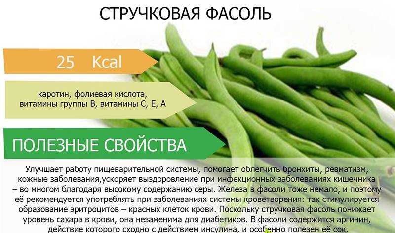 Калорийность вареной фасоли: белой, красной, стручковой