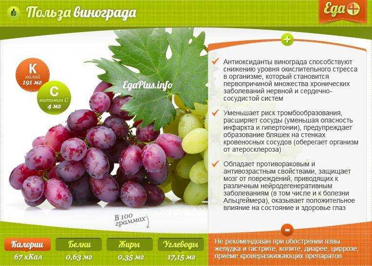 Черный виноград: калорийность на 100 грамм — 63 ккал. белки, жиры, углеводы, химический состав.