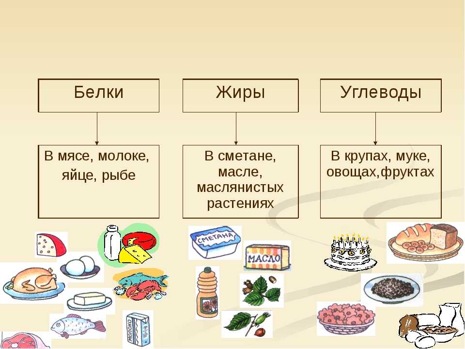 Какие вещества пищи. Рацион питания белки жиры углеводы. Где содержатся белки жиры и углеводы. Классификация белки жиры углеводы. Рацион питания белки жиры углеводы схема.