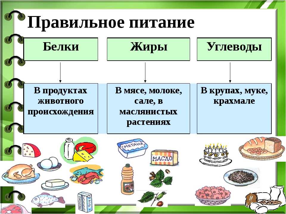 Таблица бжу продуктов в 100 граммах: белки, жиры, углеводы