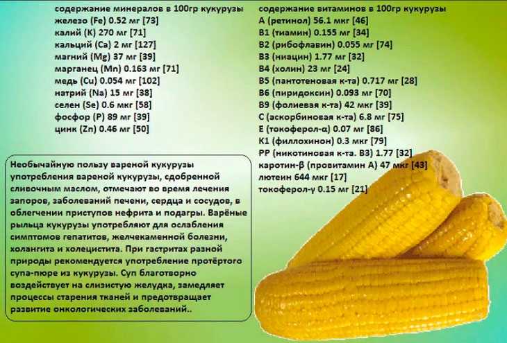 Дыня каша калорийность