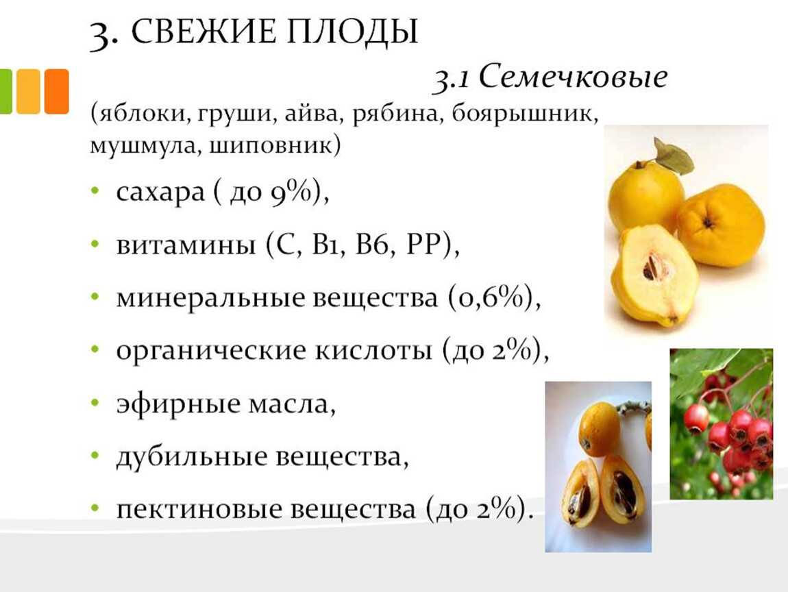 Химический состав и пищевая ценность яблока — углеводы, белки, жиры (бжу)