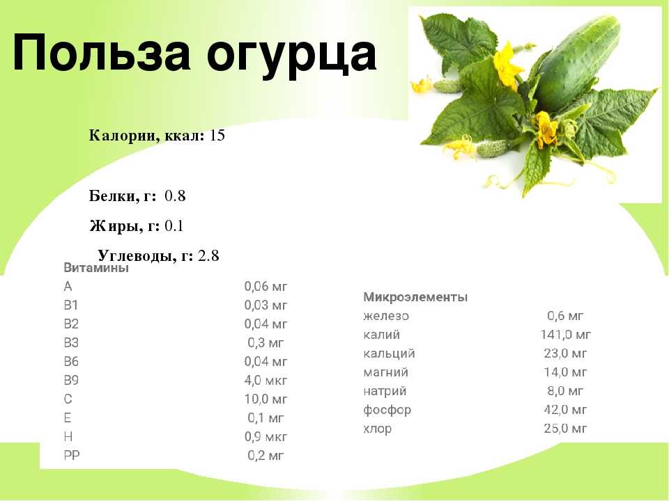 Какова калорийность огурца свежего: польза, состав, противопоказания :: syl.ru