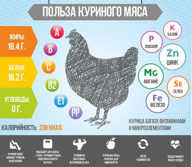 Куриные лапки: польза и вред для суставов, рецепты с фото пошагово