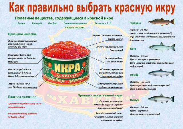 Кета: калорийность, полезные свойства, интересные факты, рецепты блюд
