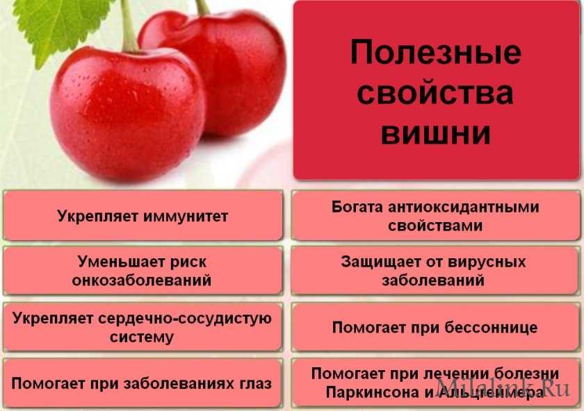 Вишня — калорийность (сколько калорий в 100 граммах)