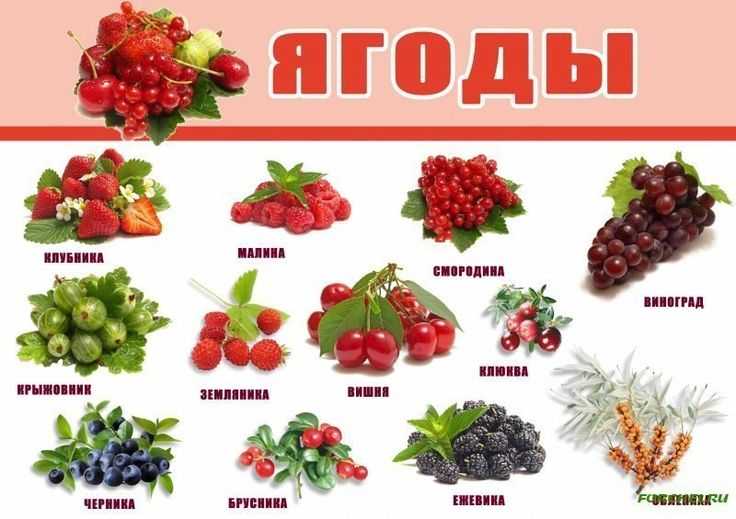 Стоит ли пить добавки с железом? - поленова наталья валерьевна