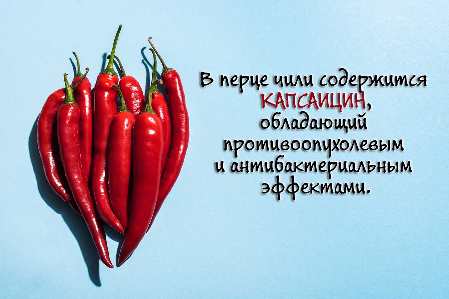 Перец чили: польза, вред и противопоказания | food and health