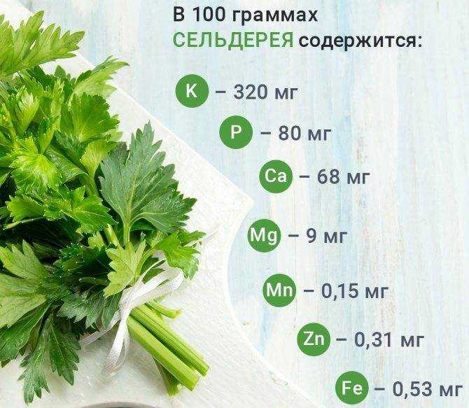 Семена сельдерея — калорийность (сколько калорий в 100 граммах)