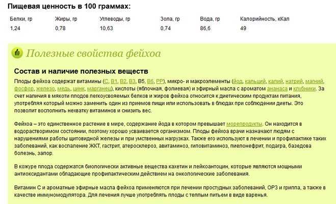 Фейхоа - калорийность, полезные свойства, польза и вред, описание