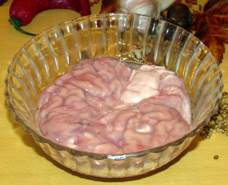 Приготовить свиной мозг