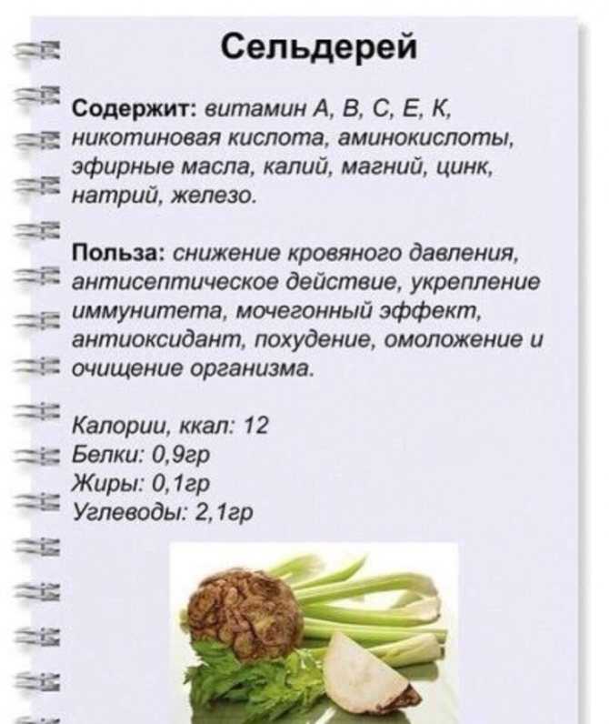 Корень сельдерея: калорийность на 100 г, белки, жиры, углеводы. корень сельдерея отваренный