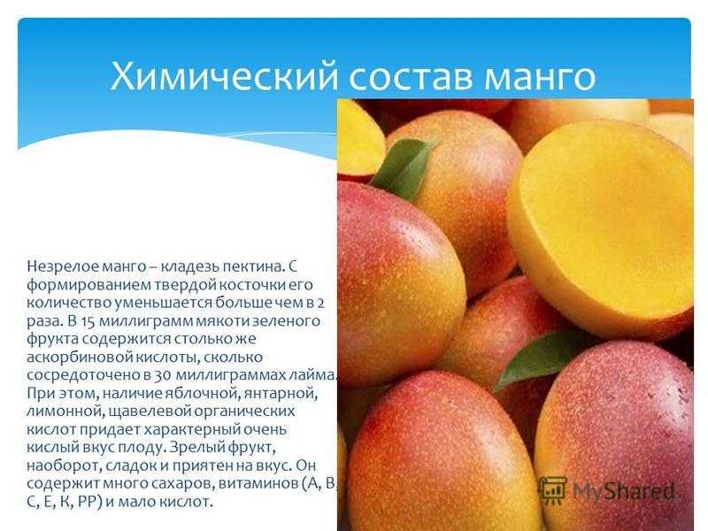 Характеристика манго