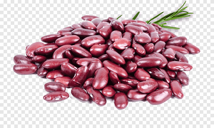 Фасоль красная (кидни) варёная — химический состав, пищевая ценность