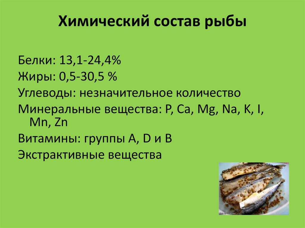 Сом: польза для организма человека, вкус и калорийность – диковед