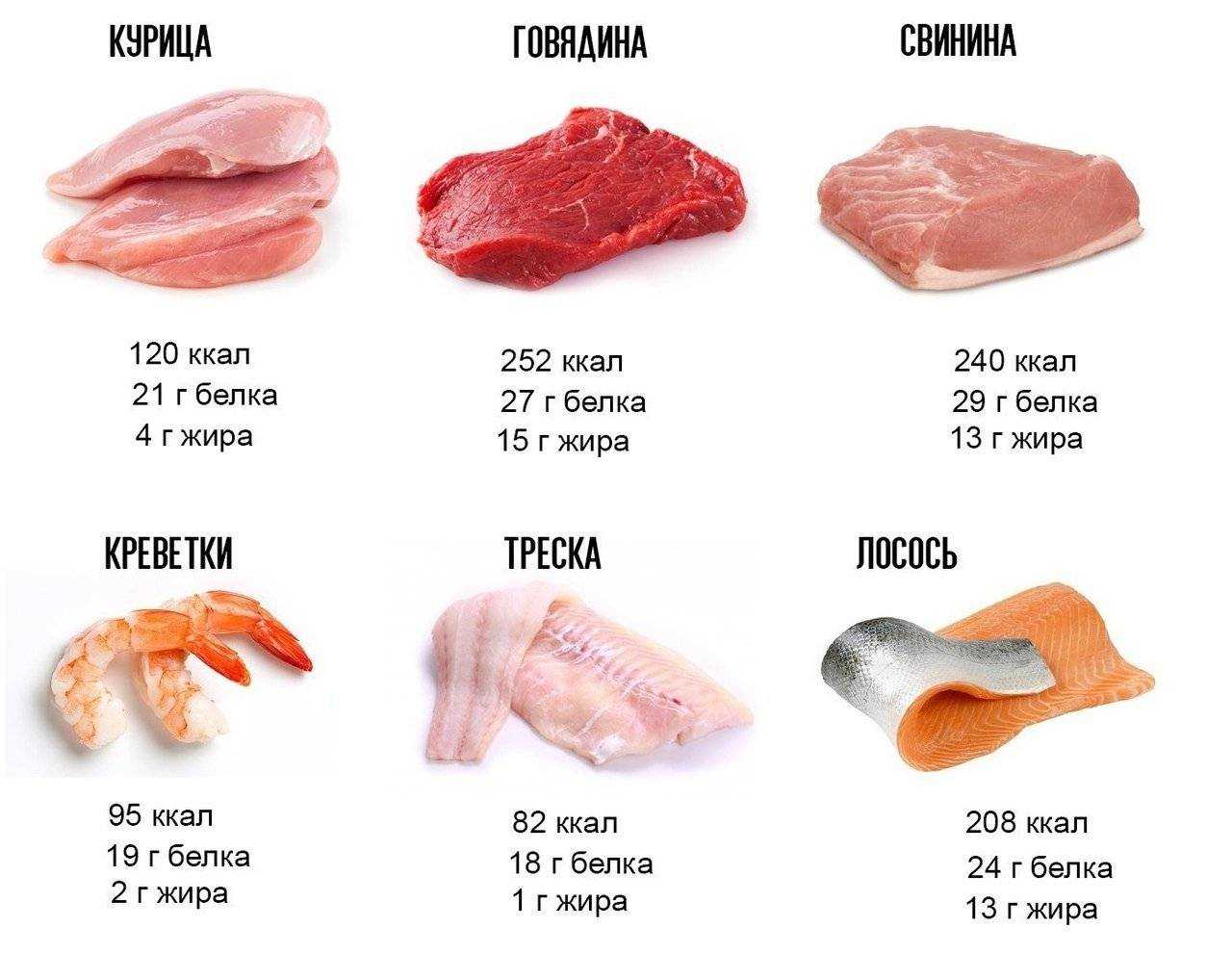 Утка: свойства мяса и польза для организма
