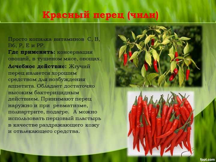 Перец чили красный острый — минеральный состав
