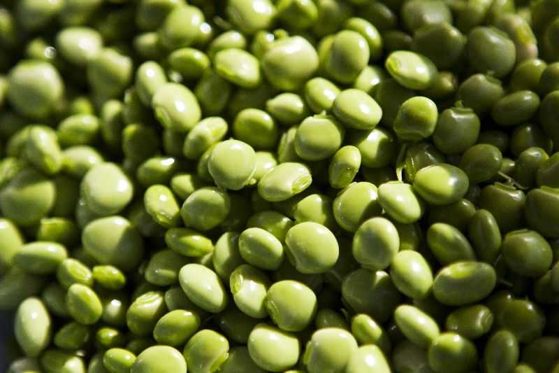 Зелёный горошек — сколько белков (на 100 грамм)