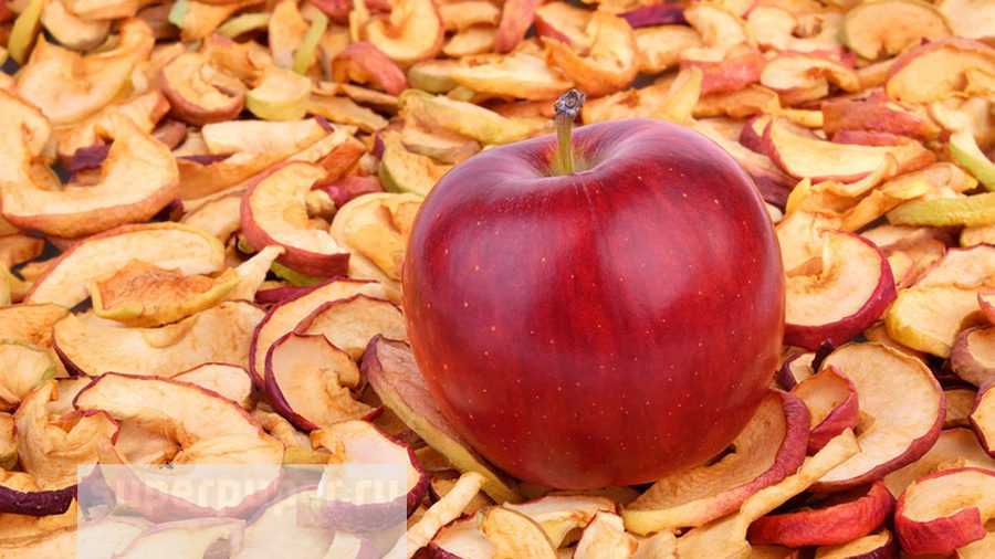 Яблоки вяленые — химический состав, пищевая ценность, бжу